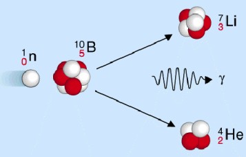 Neutroneneinfang